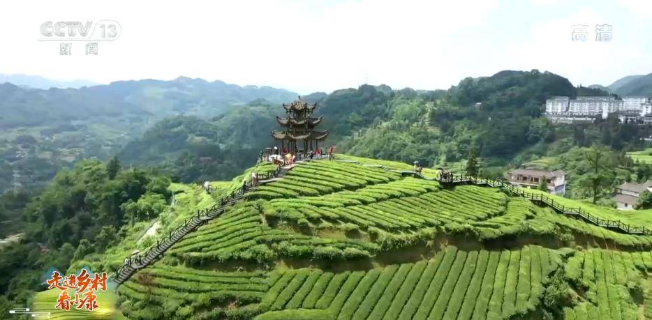 乡村|走进乡村看小康 | 湖北宣恩伍家台村：打造茶文化旅游区 茶香园美产业兴