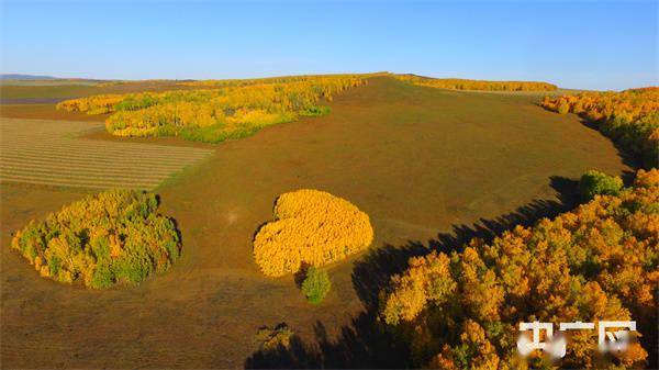 一片"爱情谷"两颗"心"的四季守护