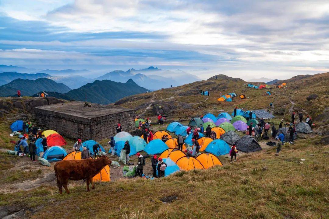 坡峰岭旅行报名 eec32f5e66df4732a9c468ced777b019.jpeg