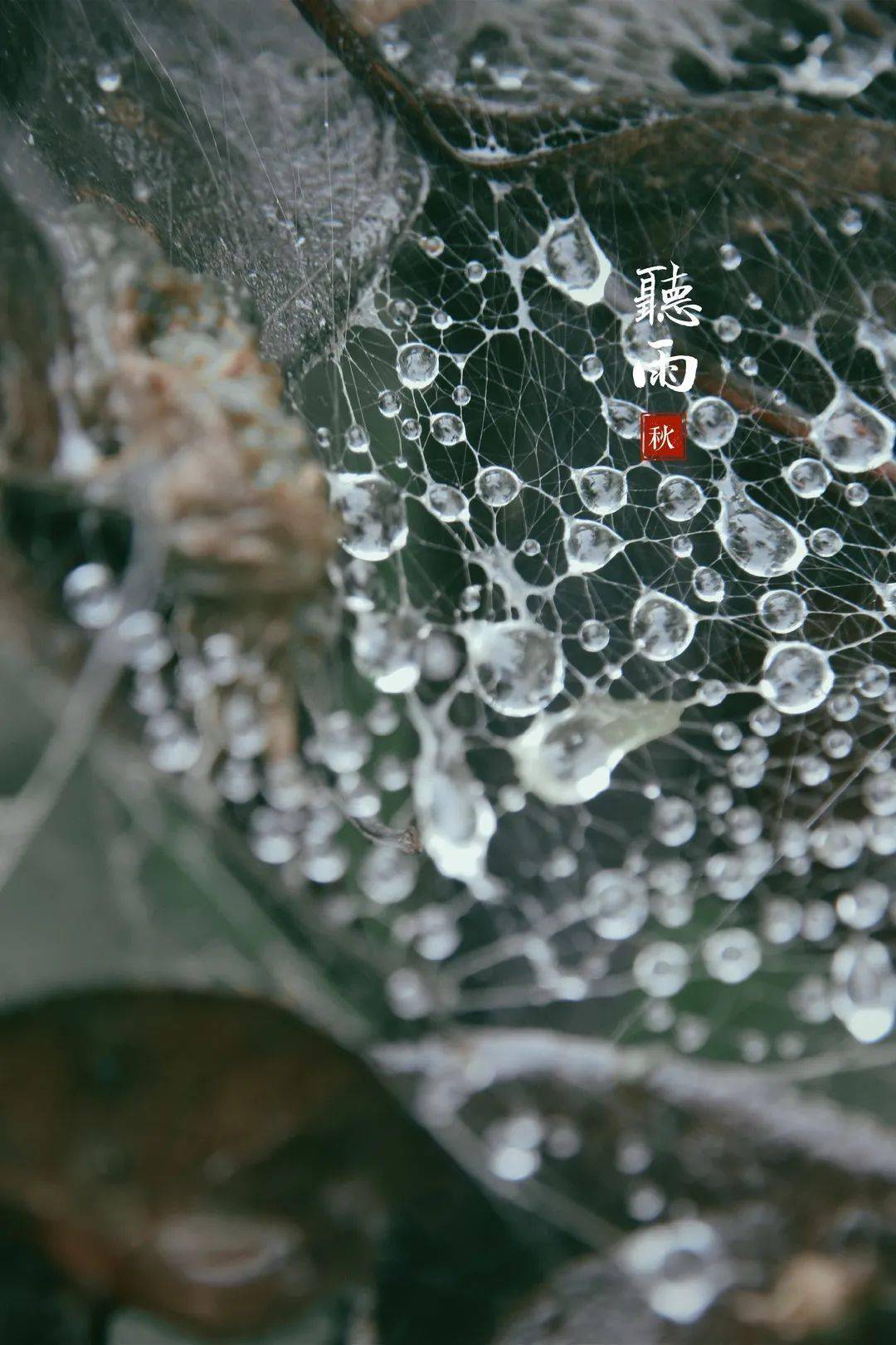 weather reporter 今·日·天·气 秋来云涌,风起雨骤 太阳与云雾在