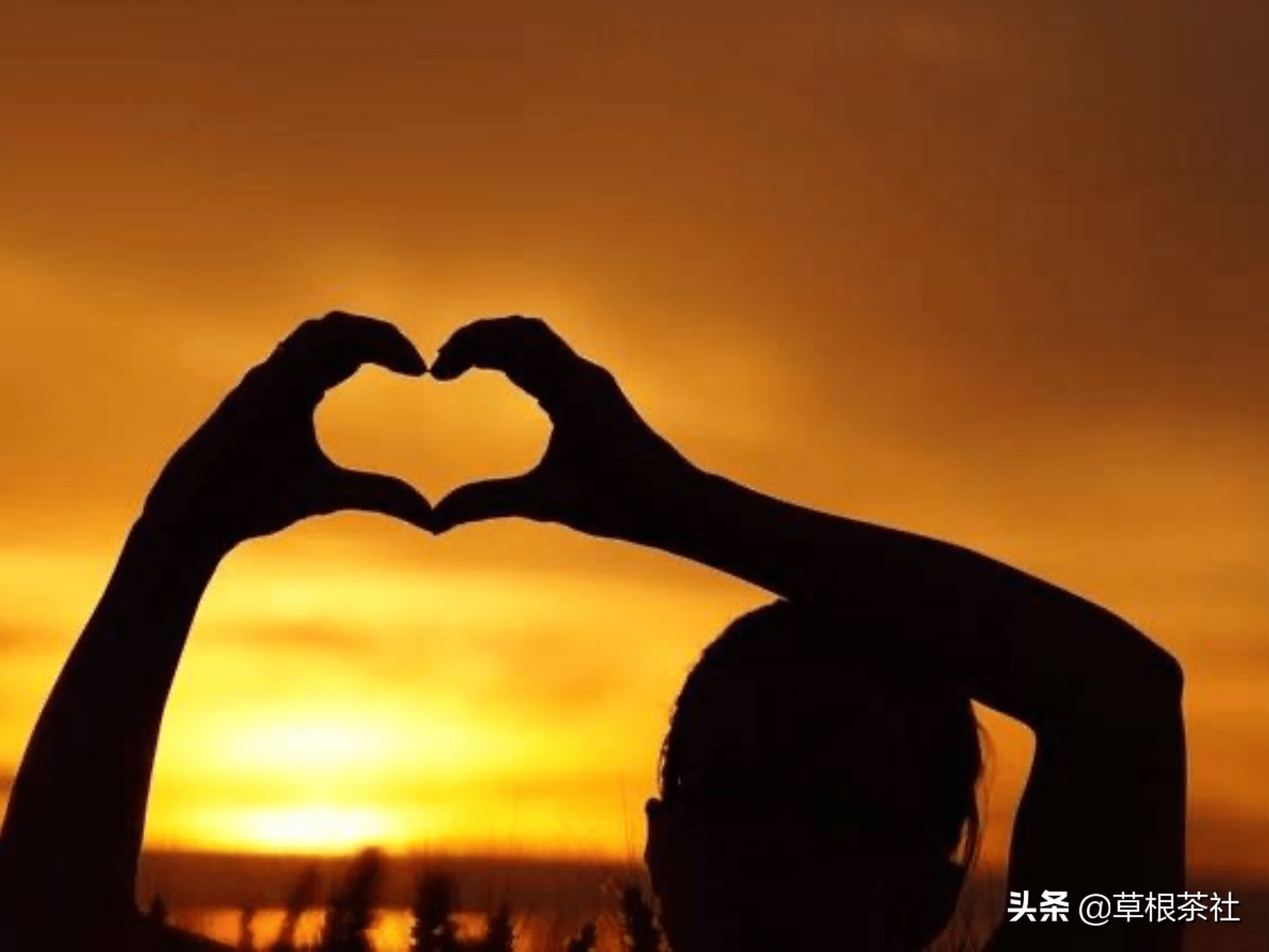 34f161f649164731a1910cb9006b8bff.png