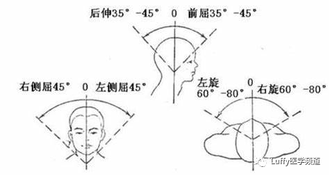79cf44c004024cfda9d8cd4b55bbfb51.png