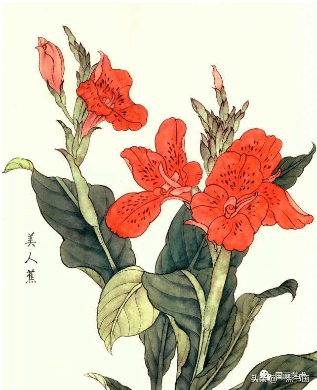 分享几种工笔花卉实用技法_步骤