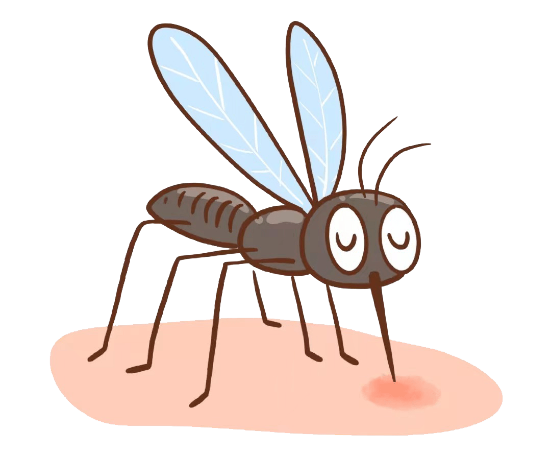 蚊子卡通图片大全可爱图片