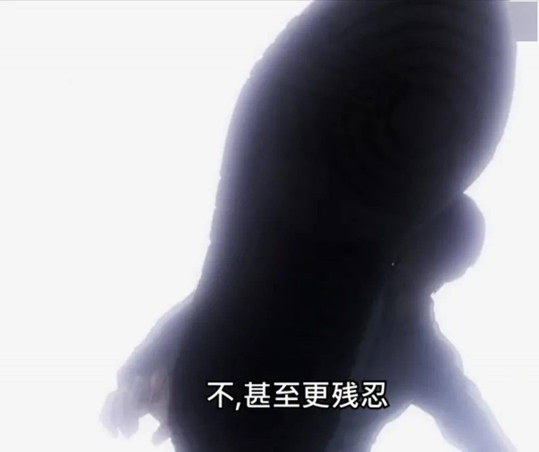 【转载】富坚义博yyds | 《全职猎人》蚂蚁篇推荐