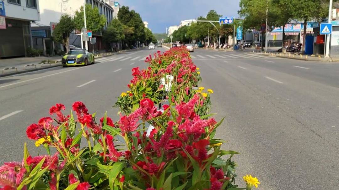 江永:鲜花扮靓城市,喜迎国庆佳节_花卉