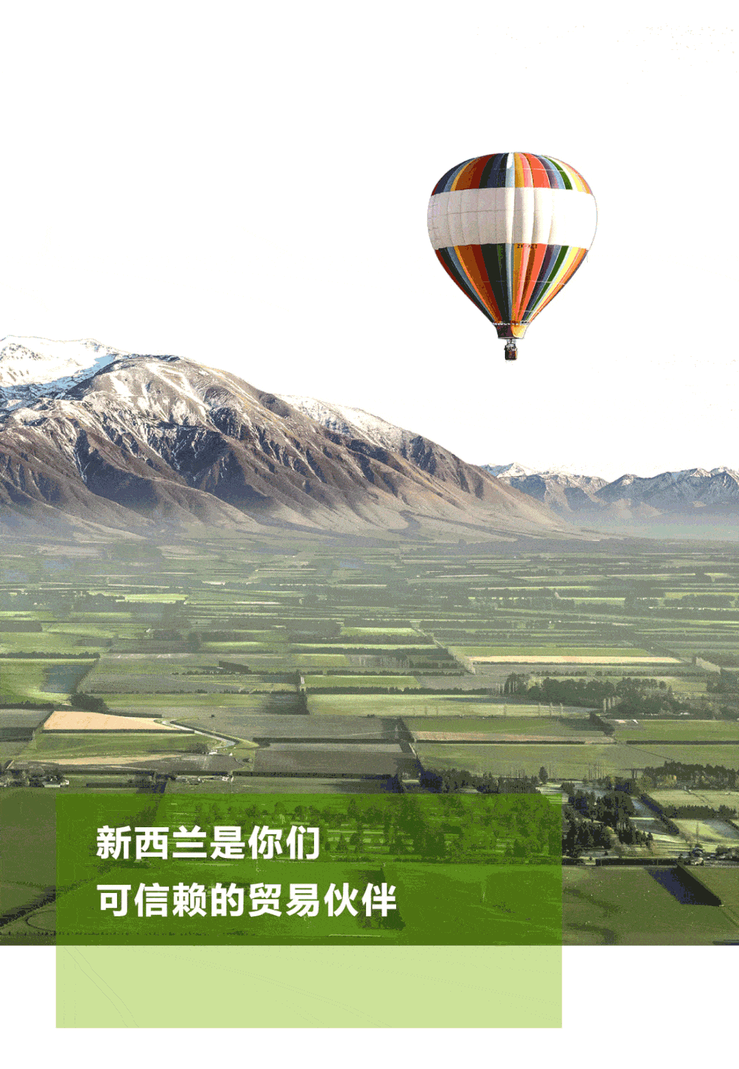 走进新西兰林业(第一集)