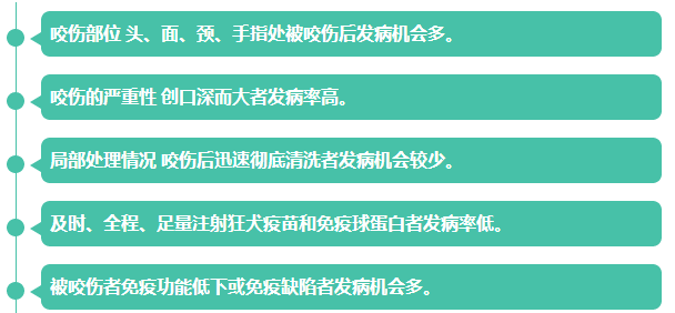 世界狂犬病日知真相不恐懼