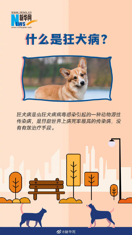死亡|这些狂犬病常识你一定要了解