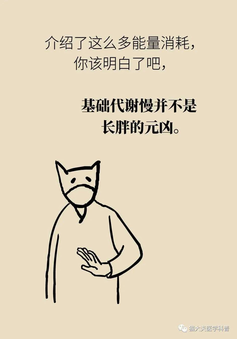 代谢|长胖是因为代谢变慢了？代谢表示不背这个锅