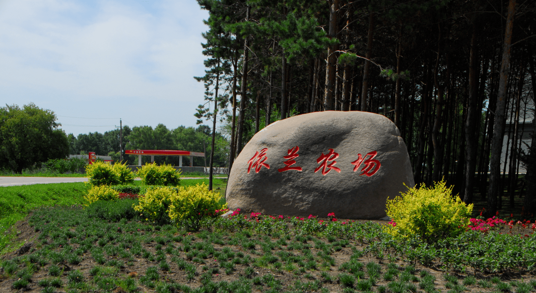 北大荒集团庆丰年视频展播农场场长道丰收十一