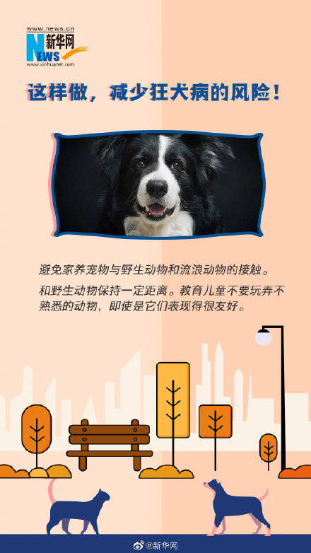 死亡|这些狂犬病常识你一定要了解
