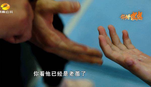 体操|李小鹏同门师弟张博恒：全运会拿下两银一铜，启蒙教练出奇招帮徒弟减压