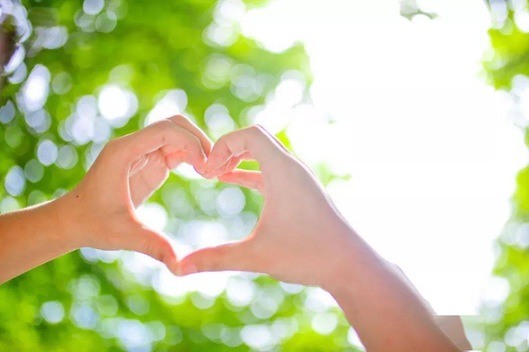 d734185246cf44a4831936d9a0481fb3.jpeg