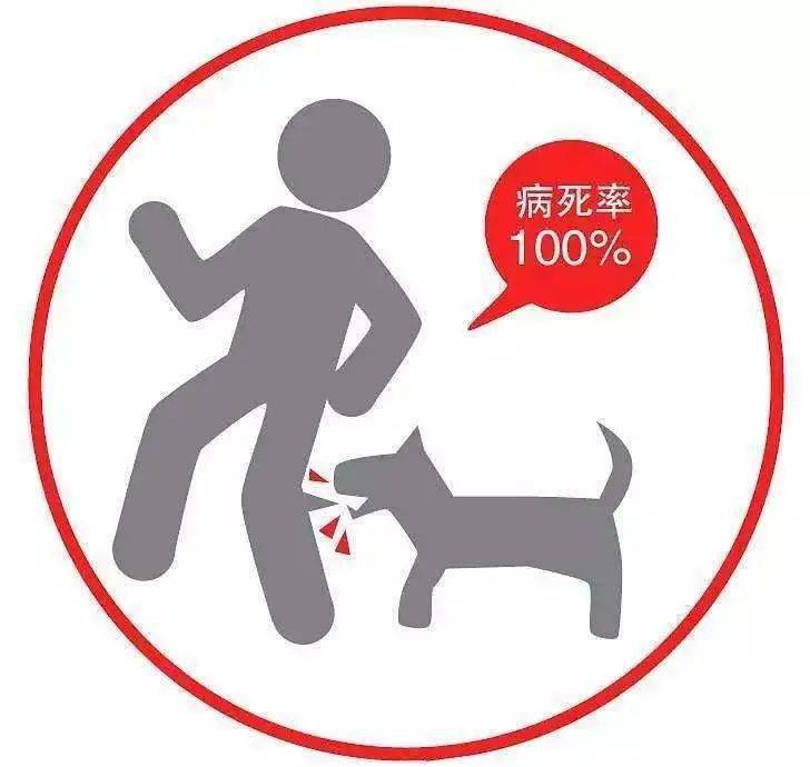 狂犬病一旦发病, 致死率100%