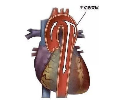 18b7afbdd6674e10b53e9a26b2ae0295.png