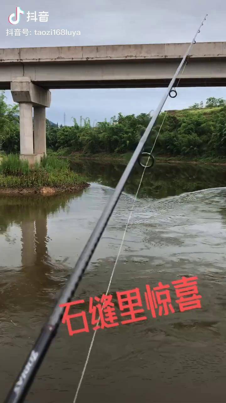 路亚鳜鱼挂底的魅力