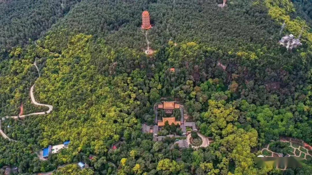 云南武定:一座山就是一座动植物博物馆_狮子山