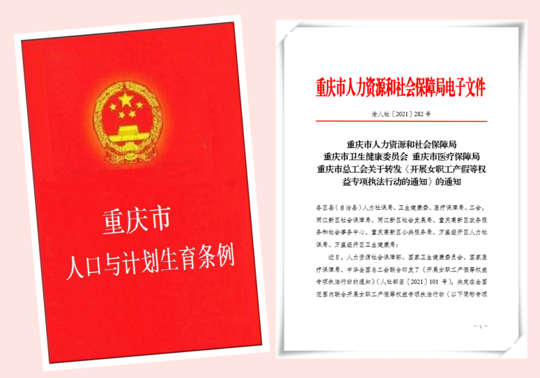 女职工劳动保护特别规定2024版 91d8784774aa45cb9116cd8d90ba1682.png
