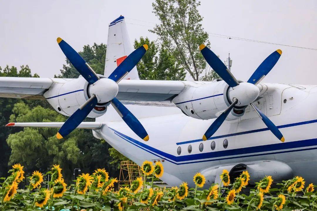 机"它是哈飞设计制造的y11轻型运输机1975年首飞成功被应用在空中摄影