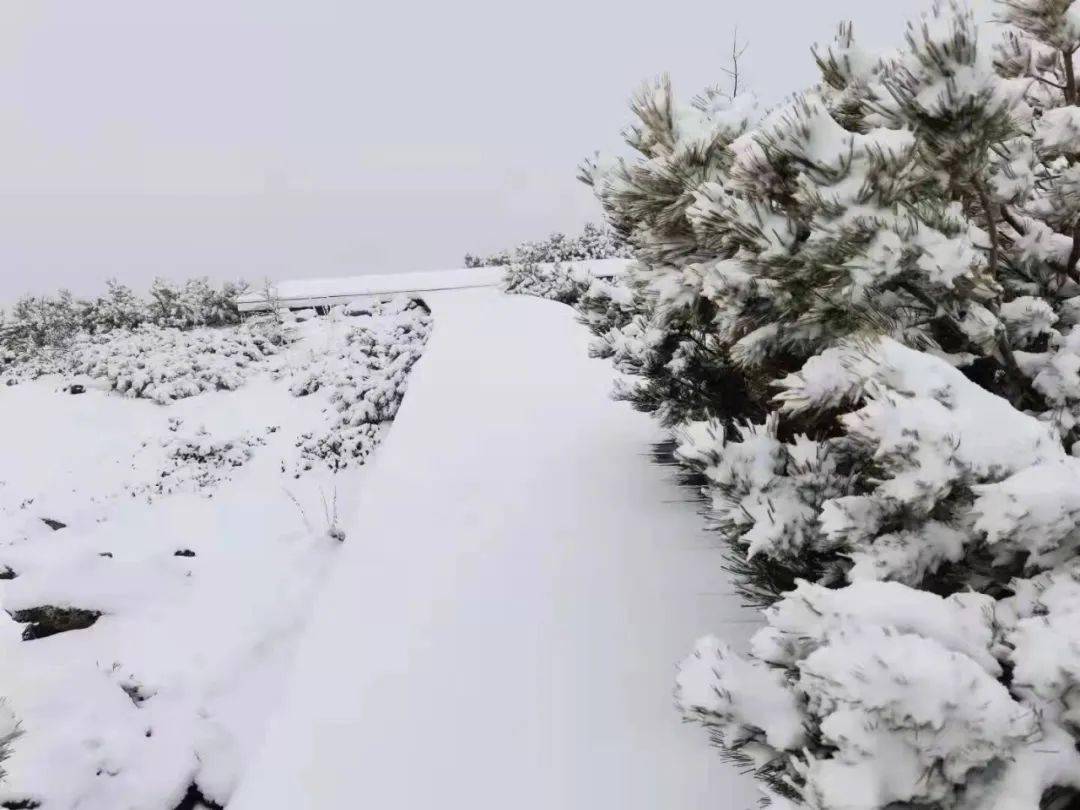 下雪啦内蒙古这里迎来第一场雪最低气温零下4