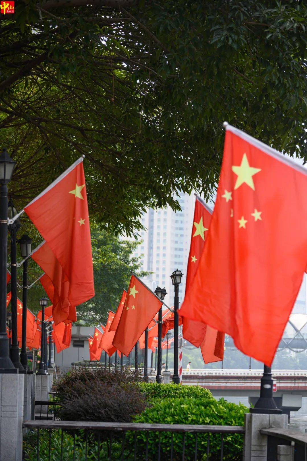 用中国红大街小巷挂满了国旗特别醒目在人来人往的大街上整齐划一的