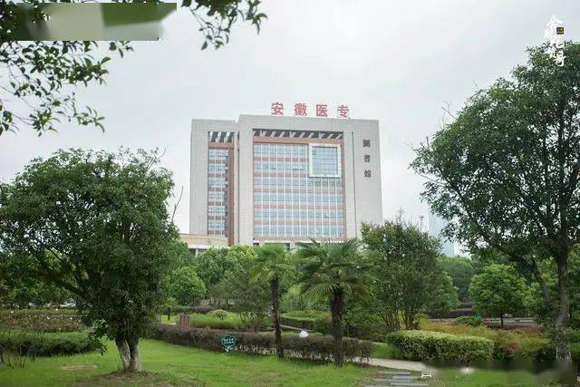 合肥学校排行_安徽省的大学排行榜_合肥