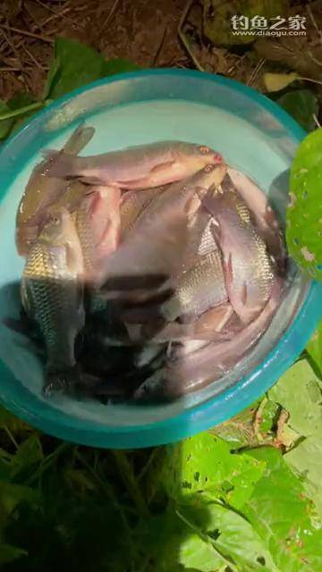 盆满钵满,满载而归