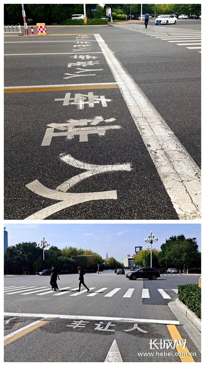 问政河北·办实事 | 沧州:道路标识"车让人"还是"车让从"?