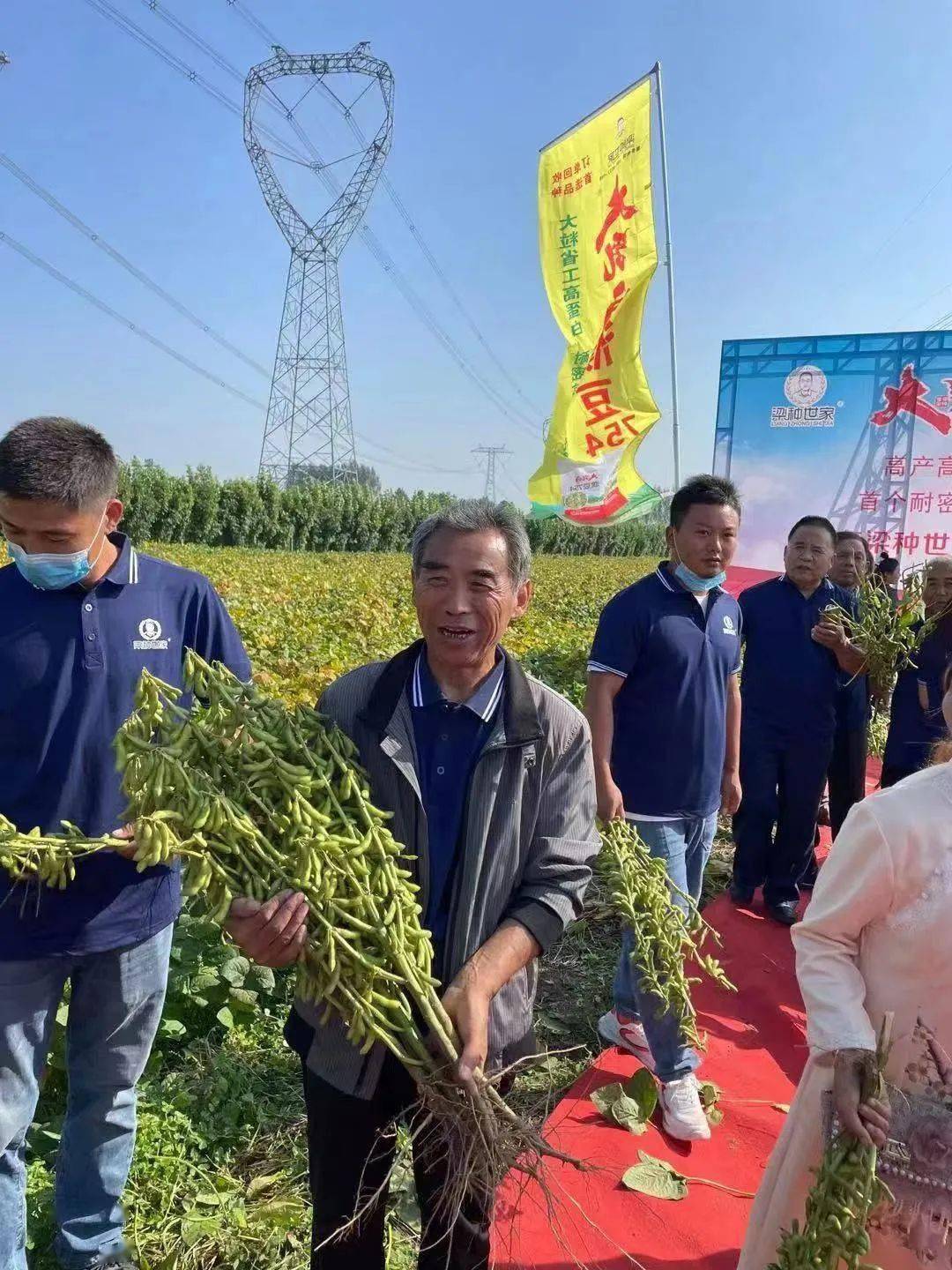 打赢种业翻身仗大乳白濮豆754献力量暨大乳白濮豆754大田现场观摩会