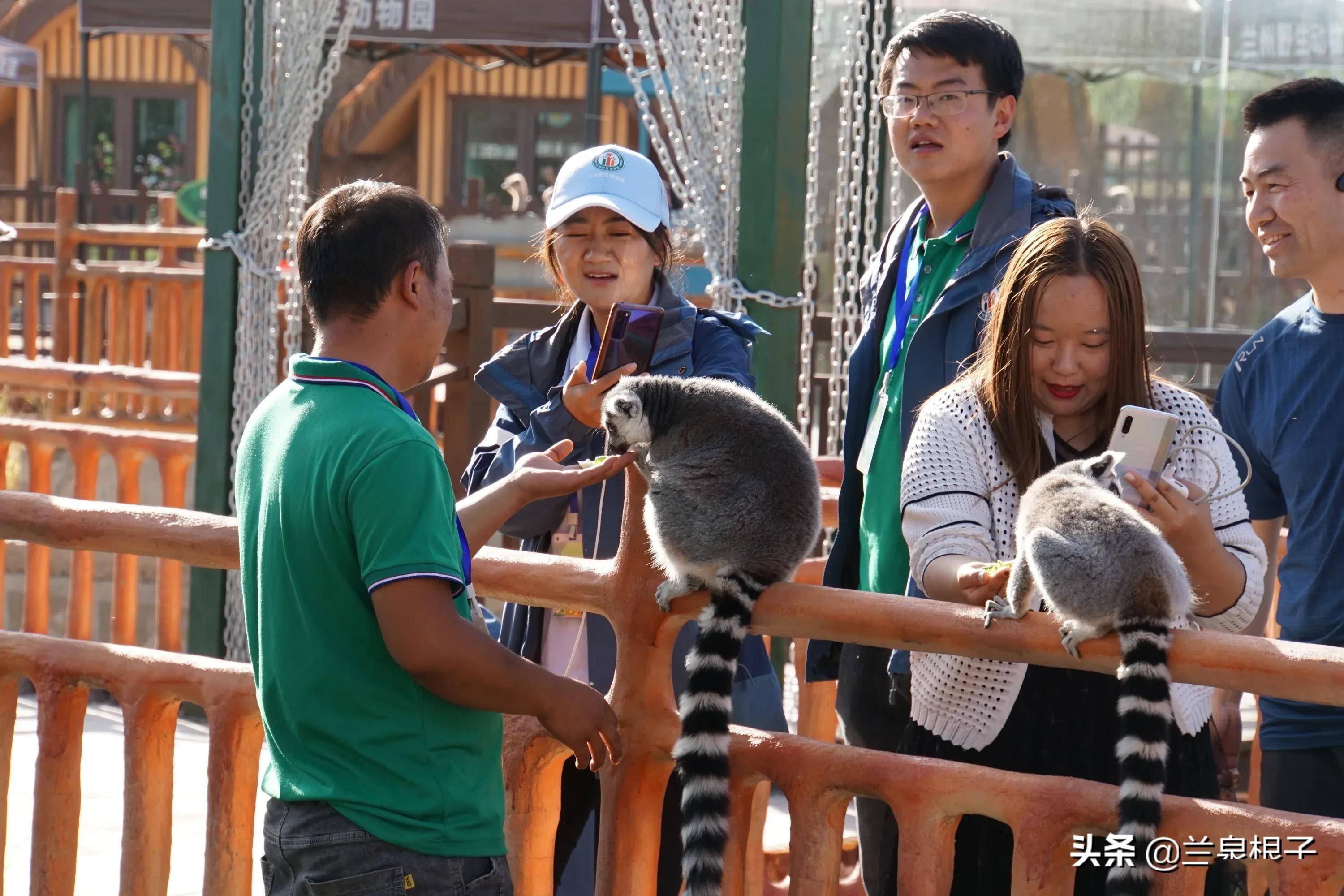 美麗的蘭州野生動物園_科普