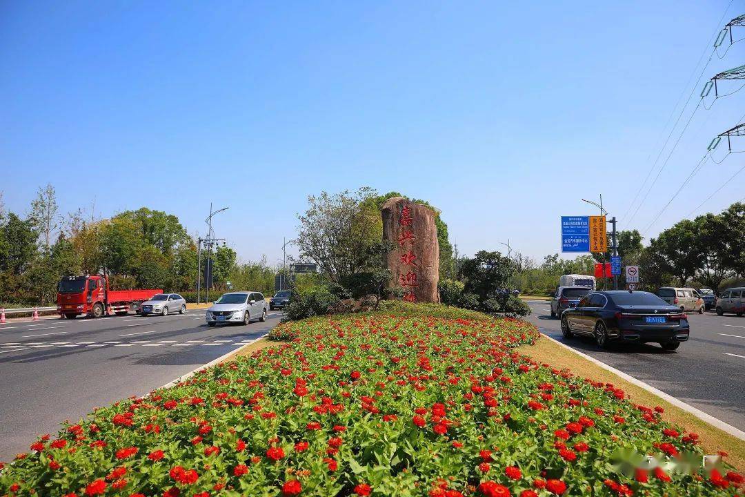 嘉兴最美的秋色,都挥洒在南湖大道上