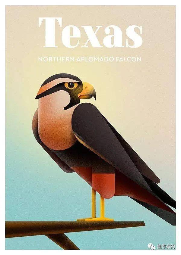 最好看的50张濒危动物海报