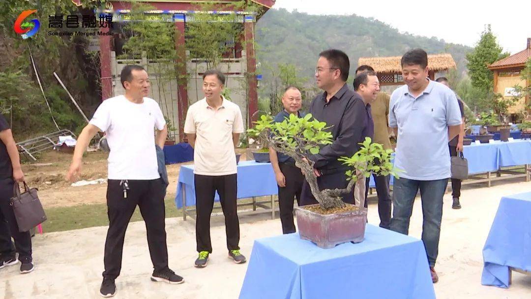 王玉杰察看嵩县爱你迎国庆文旅活动开展情况和安全工作