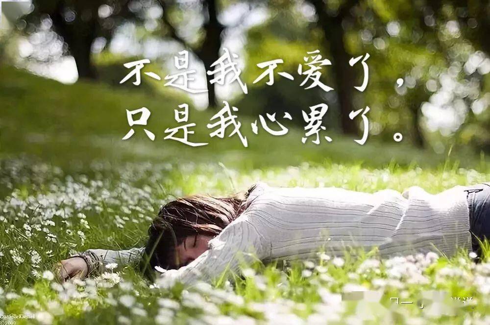 就爱一个人的心情说说 b77aecf4da314844b5ed970b4c211adc.jpeg