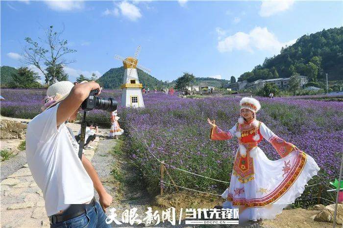 别错过！贵阳这片紫色花海太美了