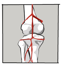 一二九街|膝盖发凉是大事，如果不重视......