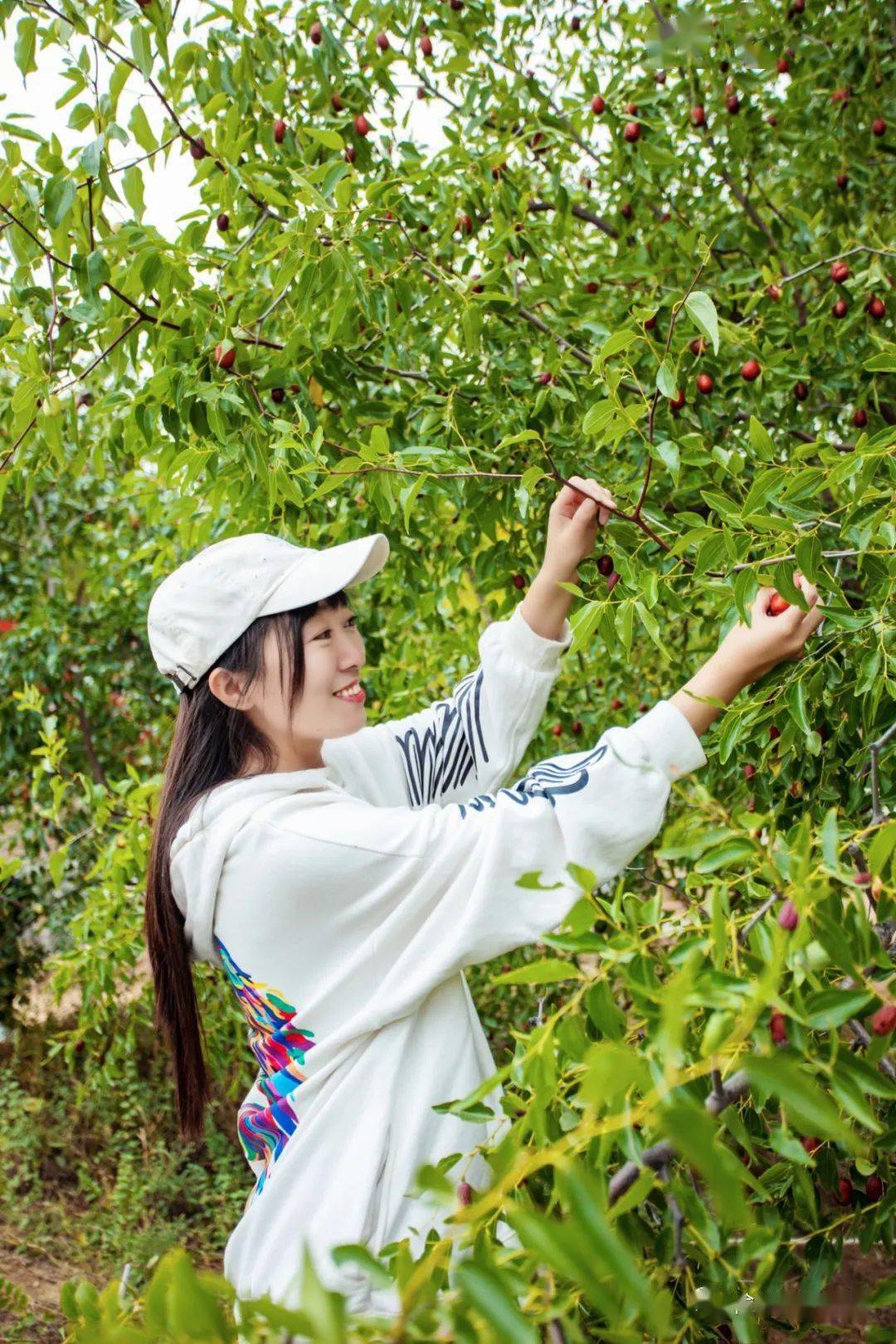 国庆假期去哪儿玩邂逅山水葭州游享康养胜地