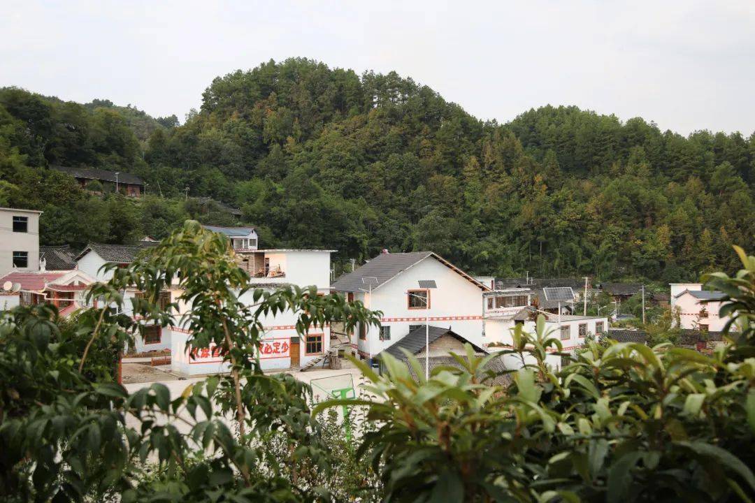 野洞河镇新华村是黄平县唯一的仫佬族行政村,全村2287人中约60%的是