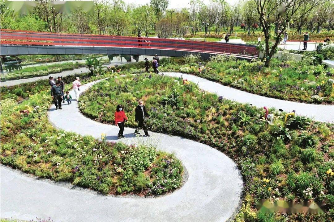 深圳园：双环相扣的共生花园 |“扬州世园会”专题