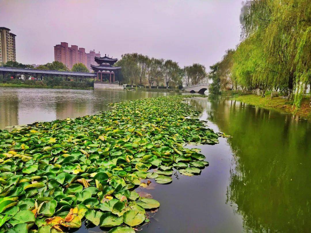 泗县风光:水韵泗州如画屏