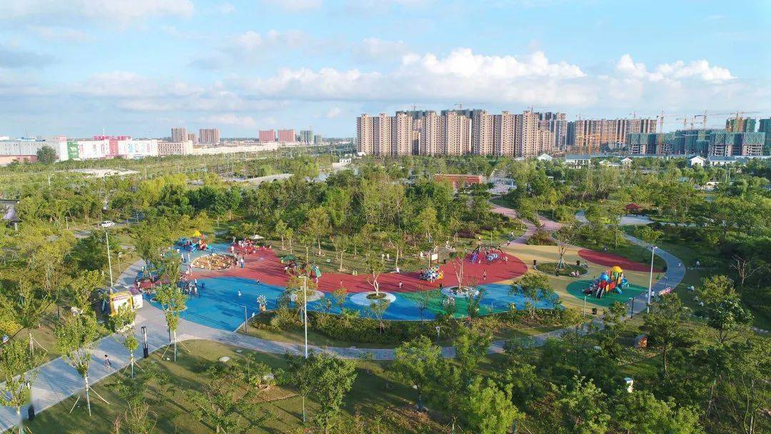 像小沿河公园水岸的梭鱼草,花径公园的榉树绿道,睢宁公园的粉黛乱子草