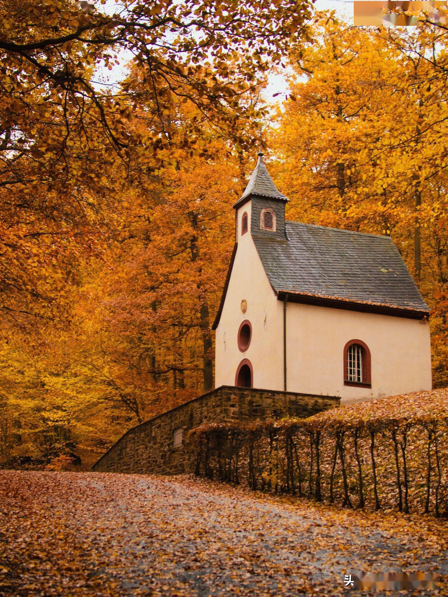 秋天风景照片这么拍就好看啦送你8个秋景摄影技巧