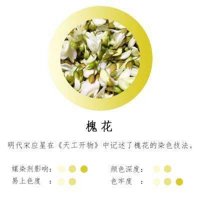 六,槐花栀子属常绿灌木,开白花,果实中可作染料的色素主要成份是栀子
