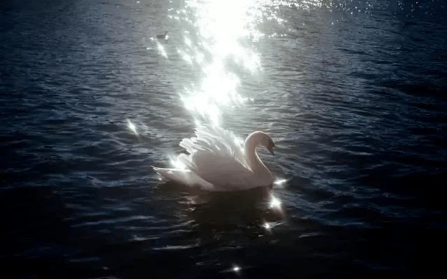 4a39e336661b48bf877c1c80fc94d416.png