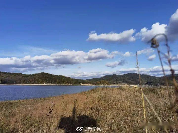 吉林 新华网送你一份吉林舒兰秋景限定壁纸