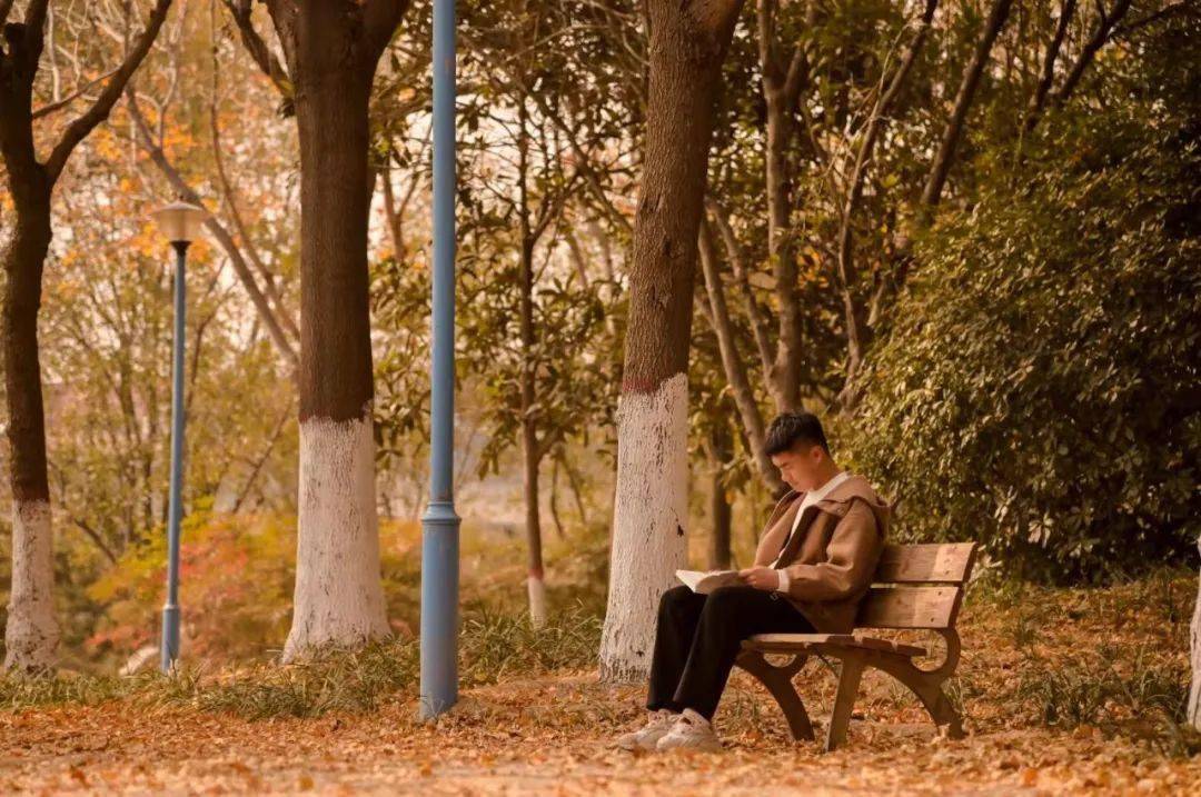 树下身着汉服的小姐姐在金黄的映照中,感受秋的气息.