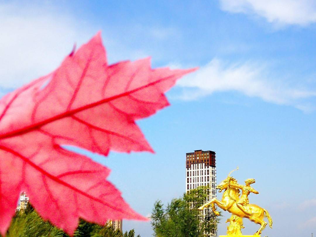 尾声|如诗如画 冰城秋意正浓！