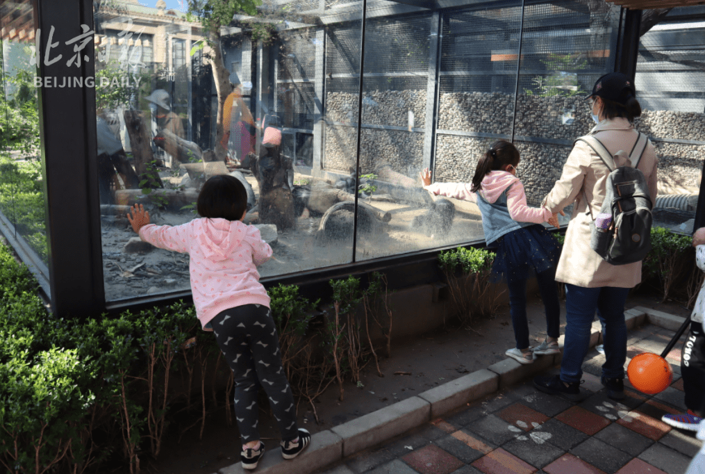 北京动物园:监控全覆盖，多设曝光台，投喂动物却屡禁不止