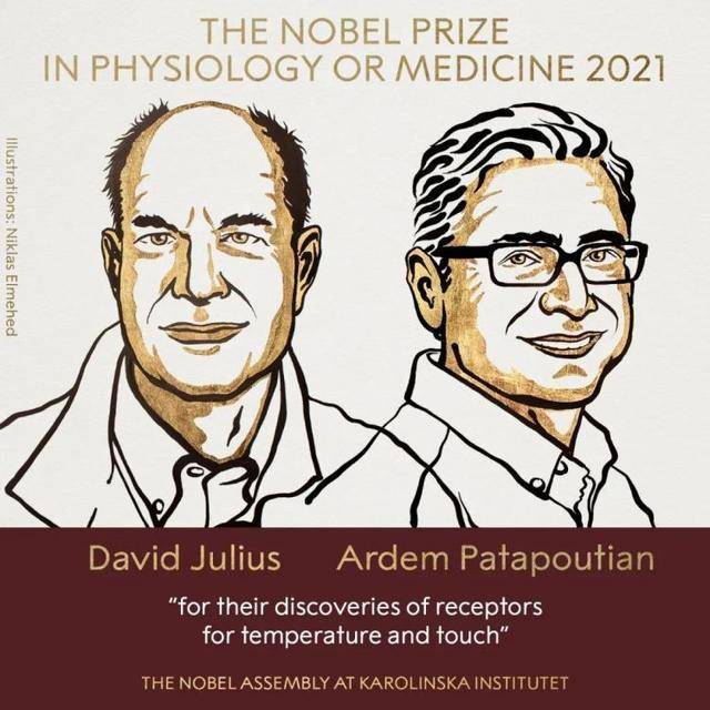 真锅|2021年诺贝尔自然科学奖：一次对传统的回归